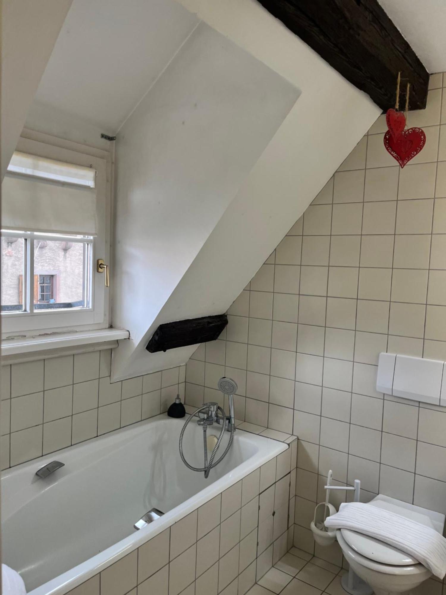Appartement Bastion De Riquewihr Dış mekan fotoğraf