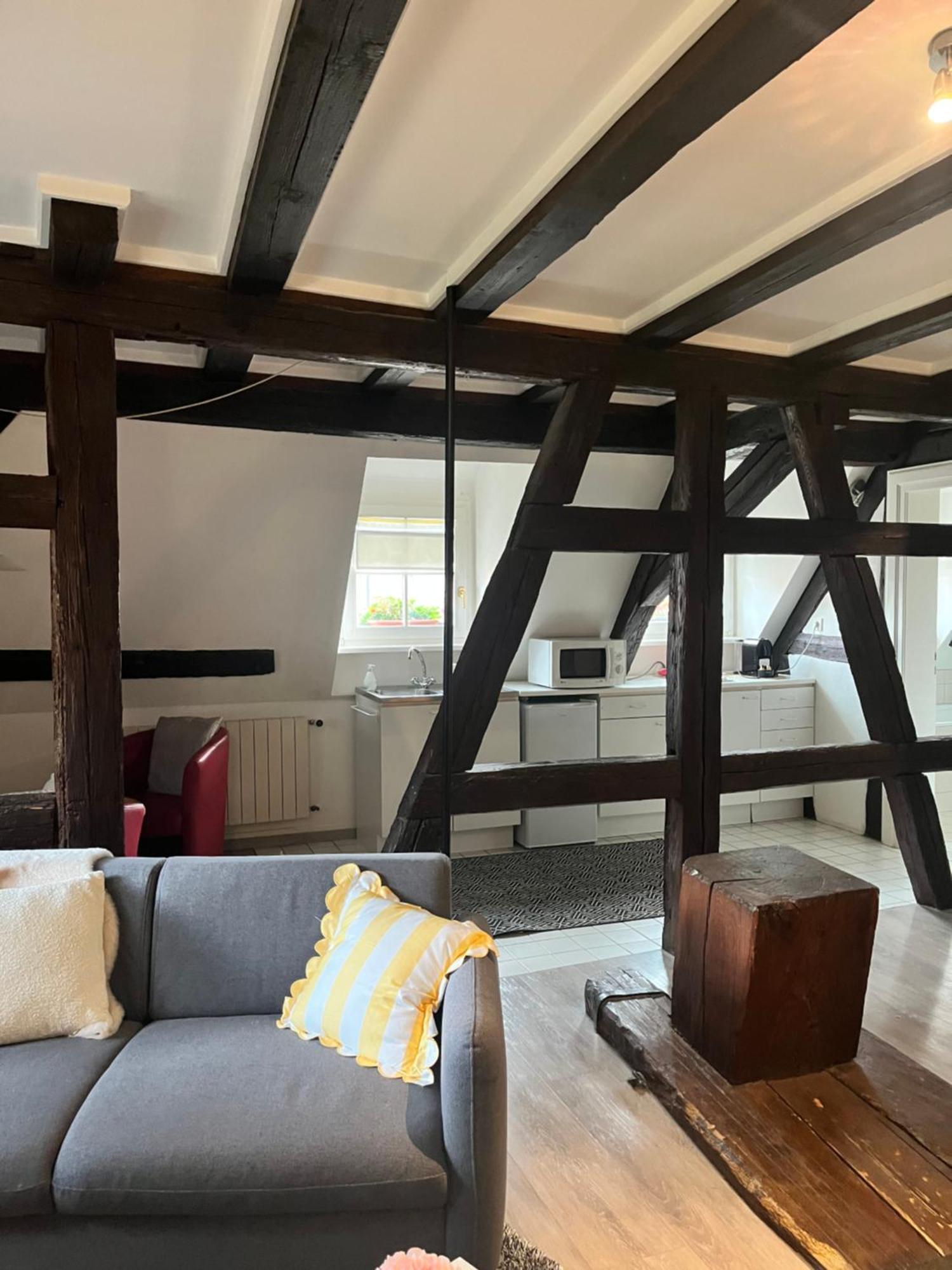 Appartement Bastion De Riquewihr Dış mekan fotoğraf