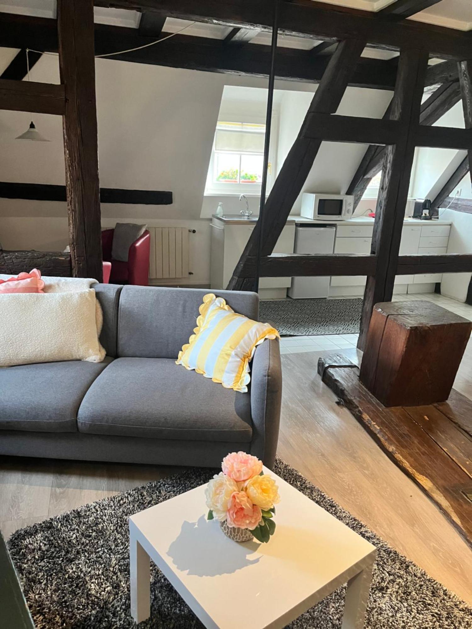 Appartement Bastion De Riquewihr Dış mekan fotoğraf